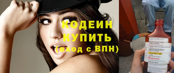 прущие грибы Великий Новгород
