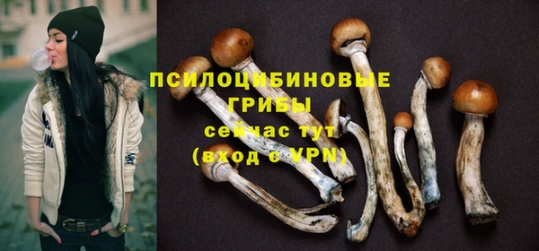 скорость Лиски