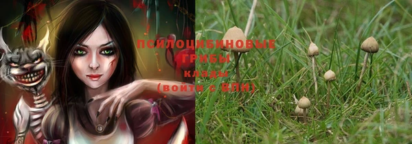 скорость Лиски