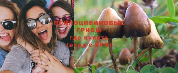 твердый Липки